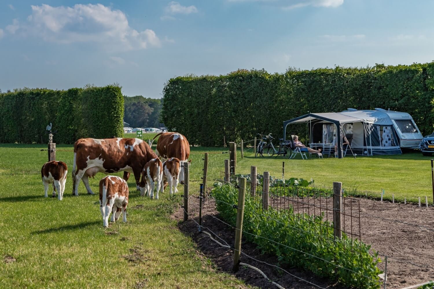7 X Boerderij Campings Met Een Laadpaal Camping Met Laadpaal 7-x-boerderij-campings-met-een-laadpaal-camping-met-laadpaal