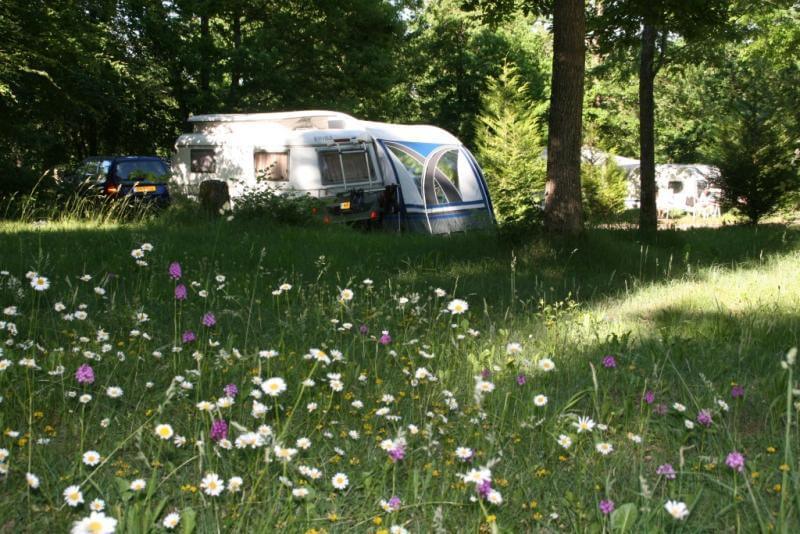 Charme Camping Sites et Paysages Au Bois Joli